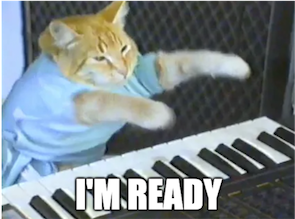 keyboard cat_small2.png
